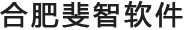合肥斐智软件科技有限公司